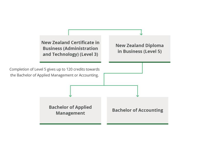 Business administration pathway diagram