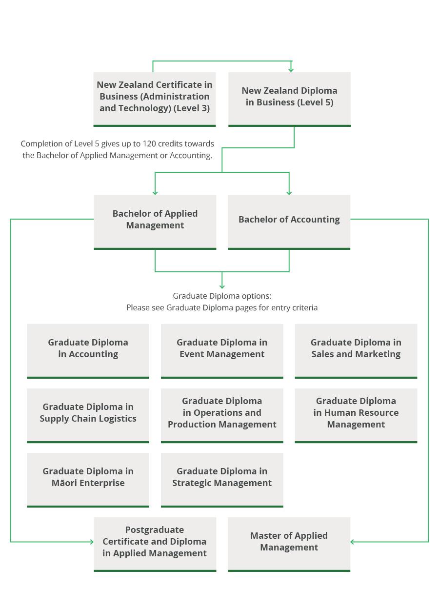 Business pathway diagram