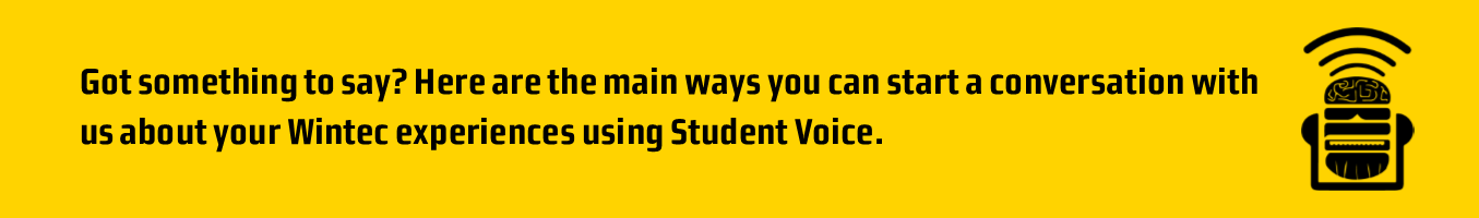 how to give feedback using student voice