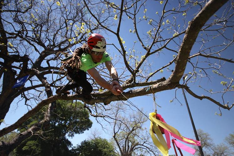 Wintec graduate and arborist  James Kirkpatrick won the Men’s International Tree Climbing Championship