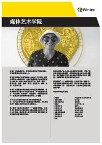 媒体艺术学院 Media Arts profile Chinese version