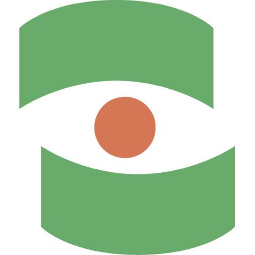 Design factory icon eye
