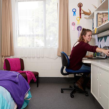 Student in village accommodation studying at desk