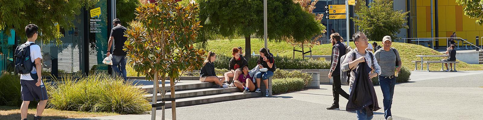 Students seated outside at Rotokauri Campus