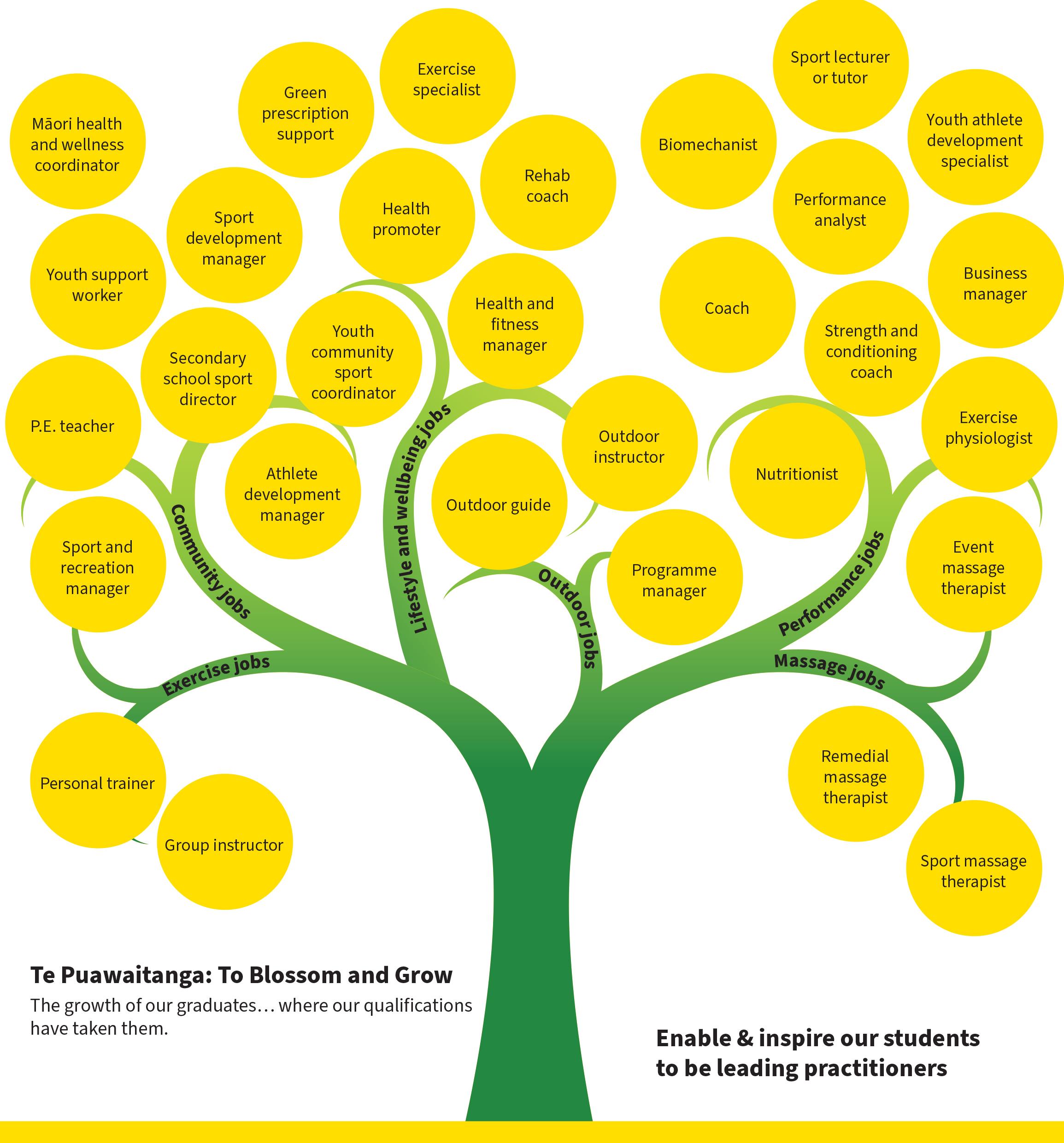 Graduate Sport Tree representing different employment opportunities in the field of sport science