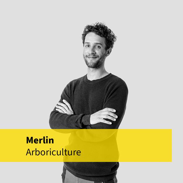 Merlin, Wintec Arboriculture student