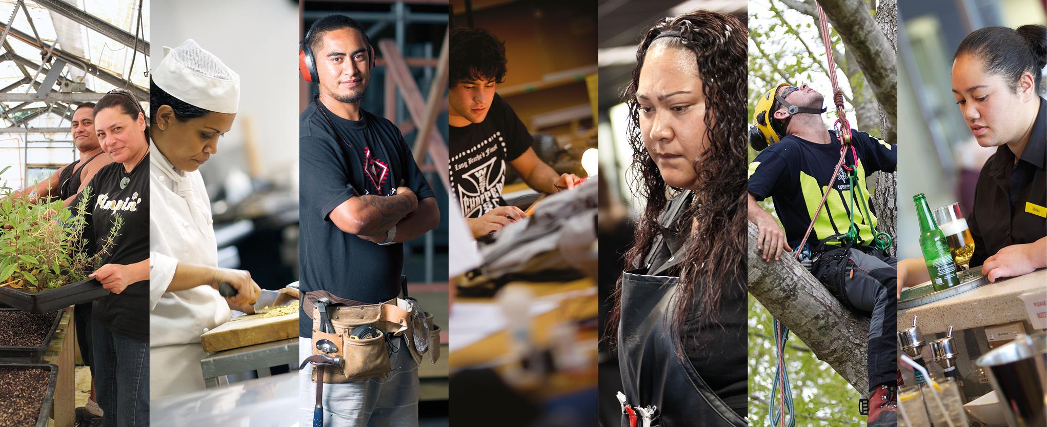 Maori and Pasifika Trades Training options