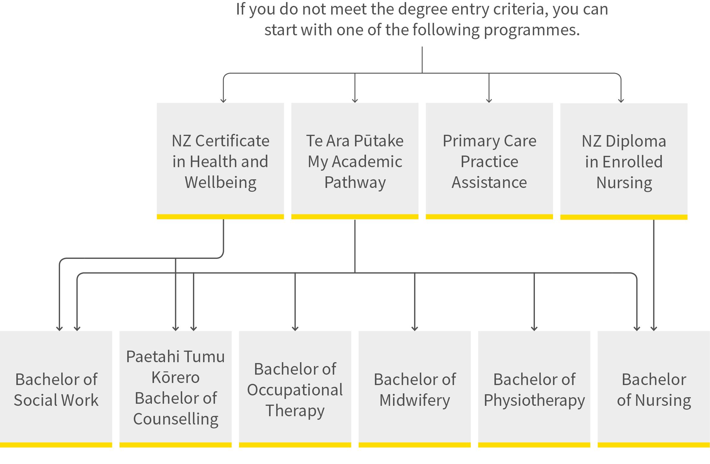 Health and social practice pathway diagram