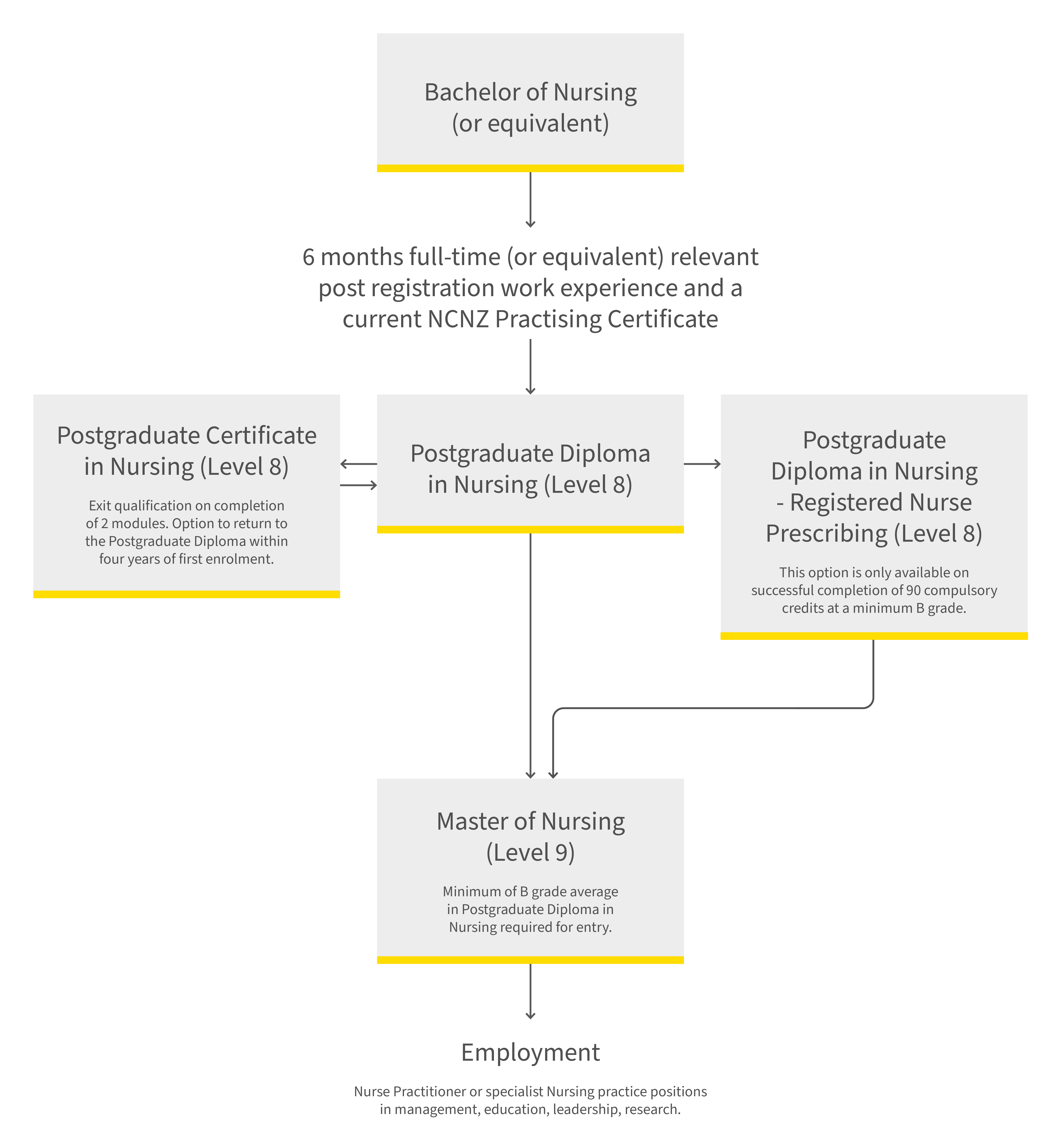 Postgraduate nursing pathway diagram