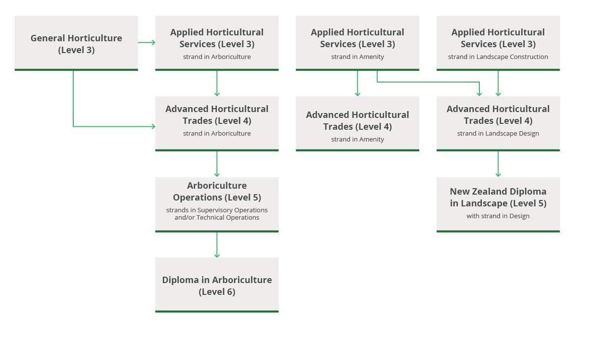 Horticulture, Arboriculture, Landscape Design and Construction pathway diagram