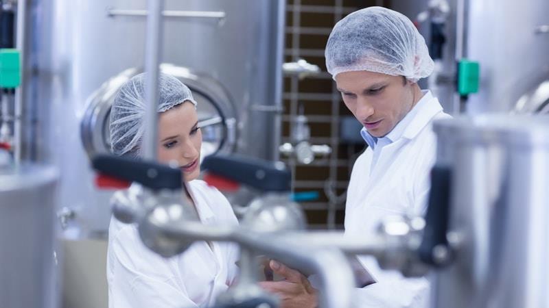 Dairy processing professionals working in dairy factory